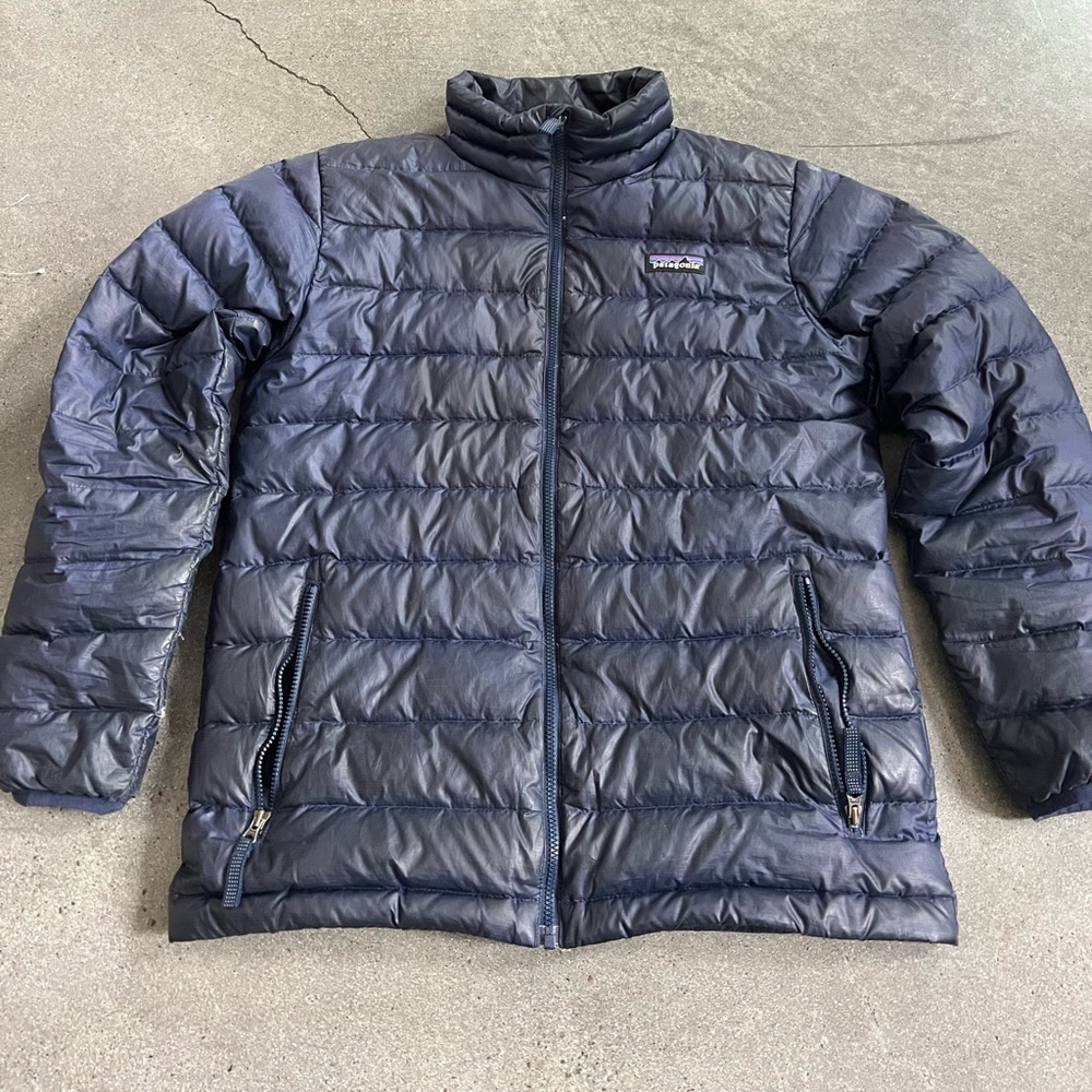 Patagonia Snow down